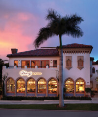 What’s Happening in Palm Beach