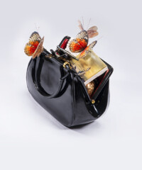 Bag of Tricks