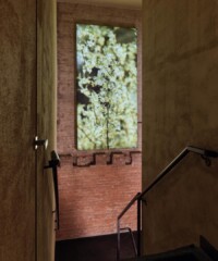 Bathing Culture Takes Center Stage In NYC