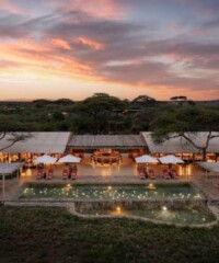 Room Request! Mapito Safari Camp