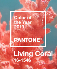 The Most Stylish Accessories in Living Coral