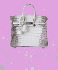 This Birkin Bag Just Smashed a Record at Auction