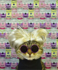 There’s a Cat Art Show, And You Need to See It