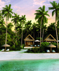 Fiji Has Been Restored to an Island Paradise With the hotel's renovation, Hersha Hospitality Trust president and COO Neil Shah helps reimagine a Collins Avenue gem