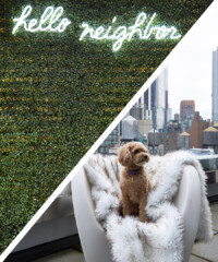 Room Request! INNSiDE by Meliá New York NoMad