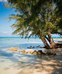 Fine Food, Famed Chefs and a Dash of Beach Perfection