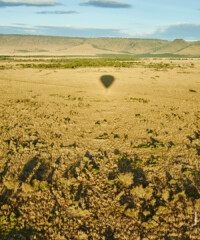 On Safari