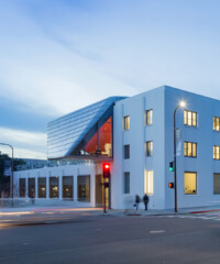 A Gorgeous New Museum’s Fitting First Exhibition
