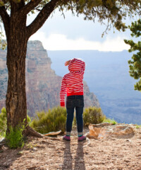 Wild Photography
