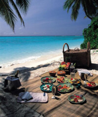 Picturesque Picnic Spreads