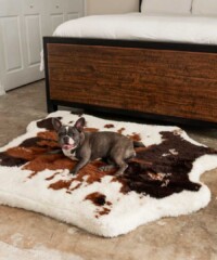 The Best Gifts For a Dog Lover