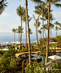 Investigating an Unusual Hawaiian History