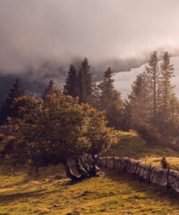 Audemars Piguet is Opening its Musée Atelier in The Jura Mountains