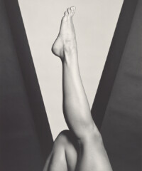 Revisiting Robert Mapplethorpe