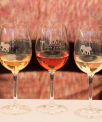 Inside the Nantucket Wine Festival