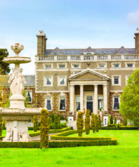 Where Will You Find Your Dream Home?