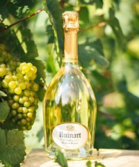 6 Surprising Facts About The World’s Top Champagne Houses