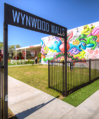 Wynwood Takes All in Miami