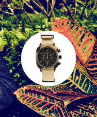 A Perfect Watch for Every Travel Destination