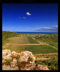 The Weekender: Languedoc-Roussillon, France
