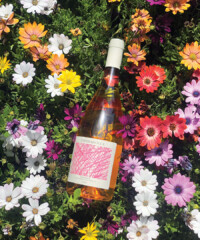 Italian Rosé Is On The Rise