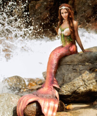 Mermaiding: An Investigation