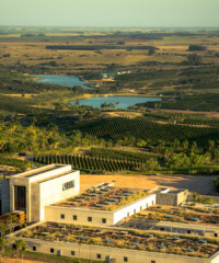Inside Uruguay’s $100 Million Wine Empire