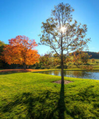 The Perfect Berkshires Getaway