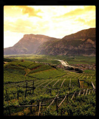 The Weekender: Trentino, Italy