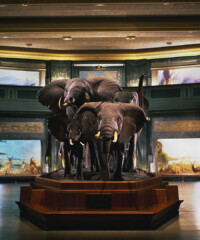 The Best Museums for Kids
