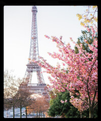 The Weekender: Paris, France