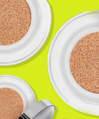 Korea’s Cushion Cosmetic Craze Hits the U.S.