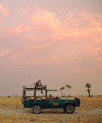 Continental Drift: Africa