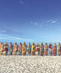 Surf’s Up