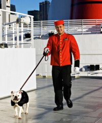 The Pet Jet Set