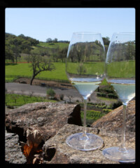The Weekender: Healdsburg, CA