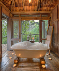 Tree House Hotels – Gallery