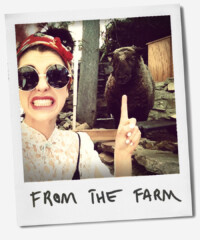On Location with Kimbra